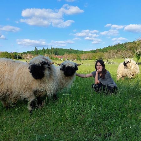 Ferme Des Petites Oreilles 4 Etoiles Montignac-Lascaux Eksteriør billede