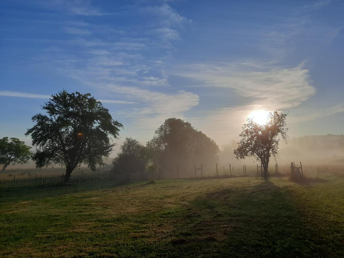 Ferme Des Petites Oreilles 4 Etoiles Montignac-Lascaux Eksteriør billede