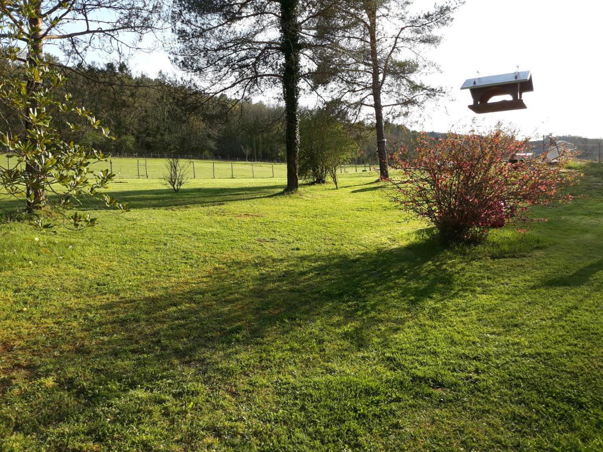Ferme Des Petites Oreilles 4 Etoiles Montignac-Lascaux Eksteriør billede