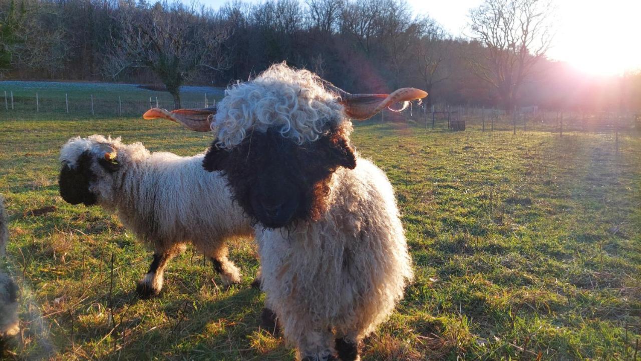Ferme Des Petites Oreilles 4 Etoiles Montignac-Lascaux Eksteriør billede