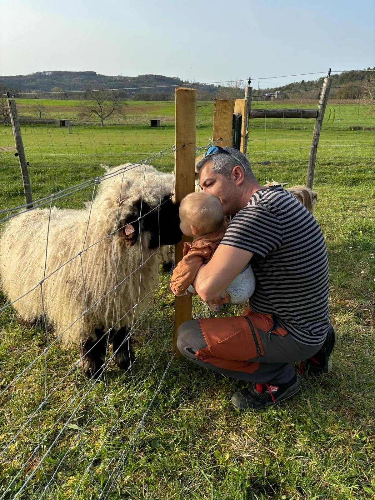 Ferme Des Petites Oreilles 4 Etoiles Montignac-Lascaux Eksteriør billede