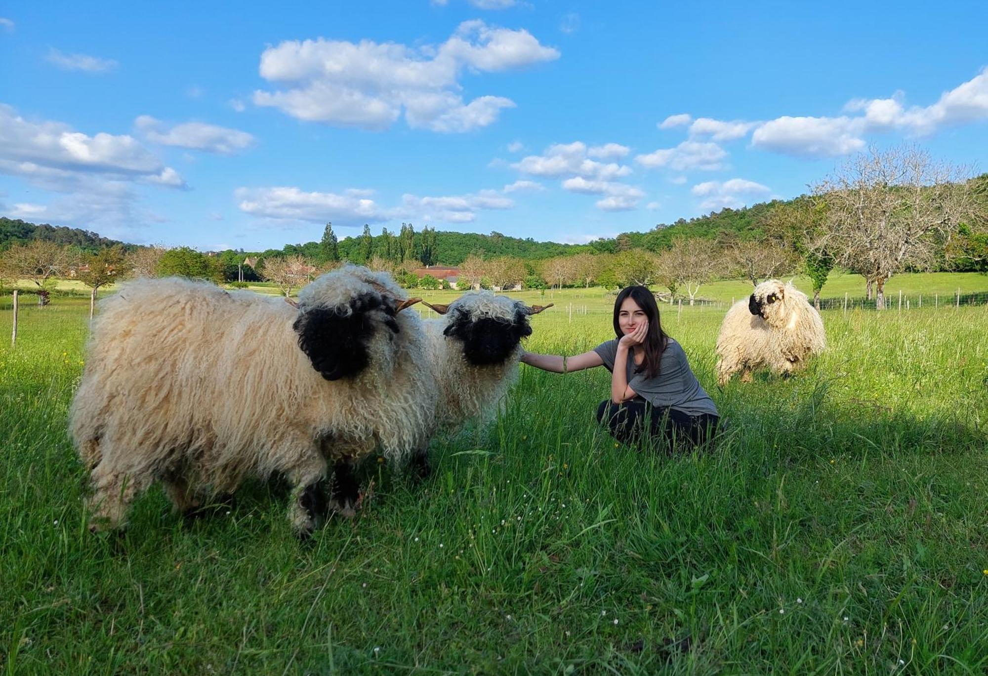 Ferme Des Petites Oreilles 4 Etoiles Montignac-Lascaux Eksteriør billede