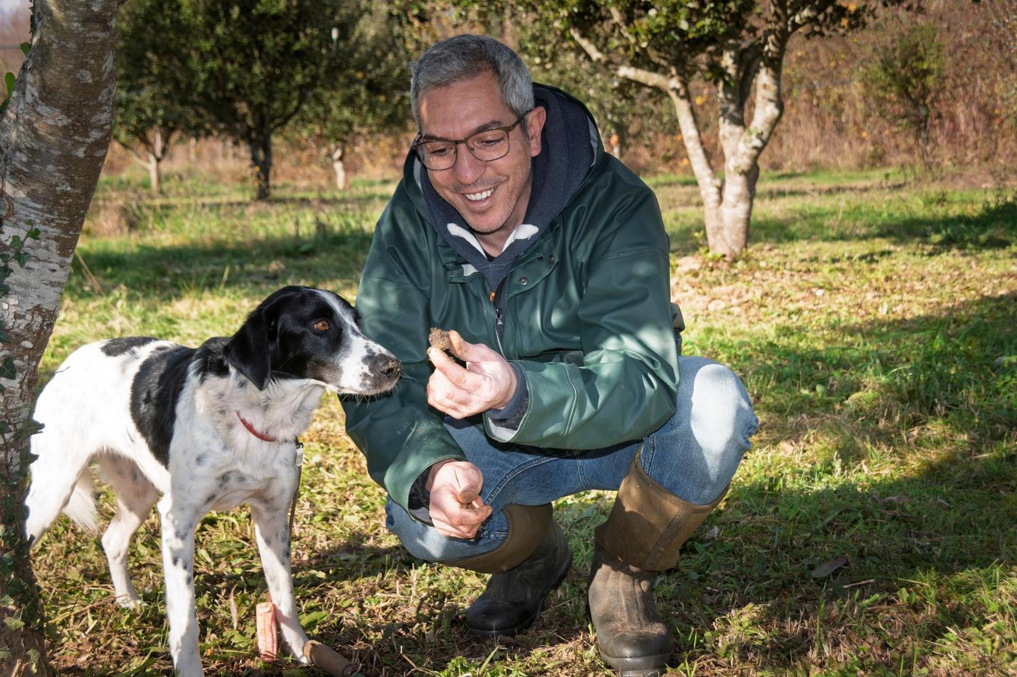 Ferme Des Petites Oreilles 4 Etoiles Montignac-Lascaux Eksteriør billede