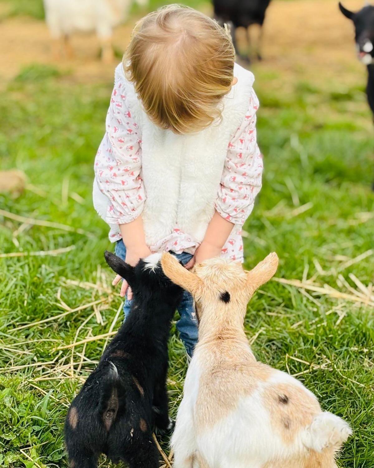 Ferme Des Petites Oreilles 4 Etoiles Montignac-Lascaux Eksteriør billede